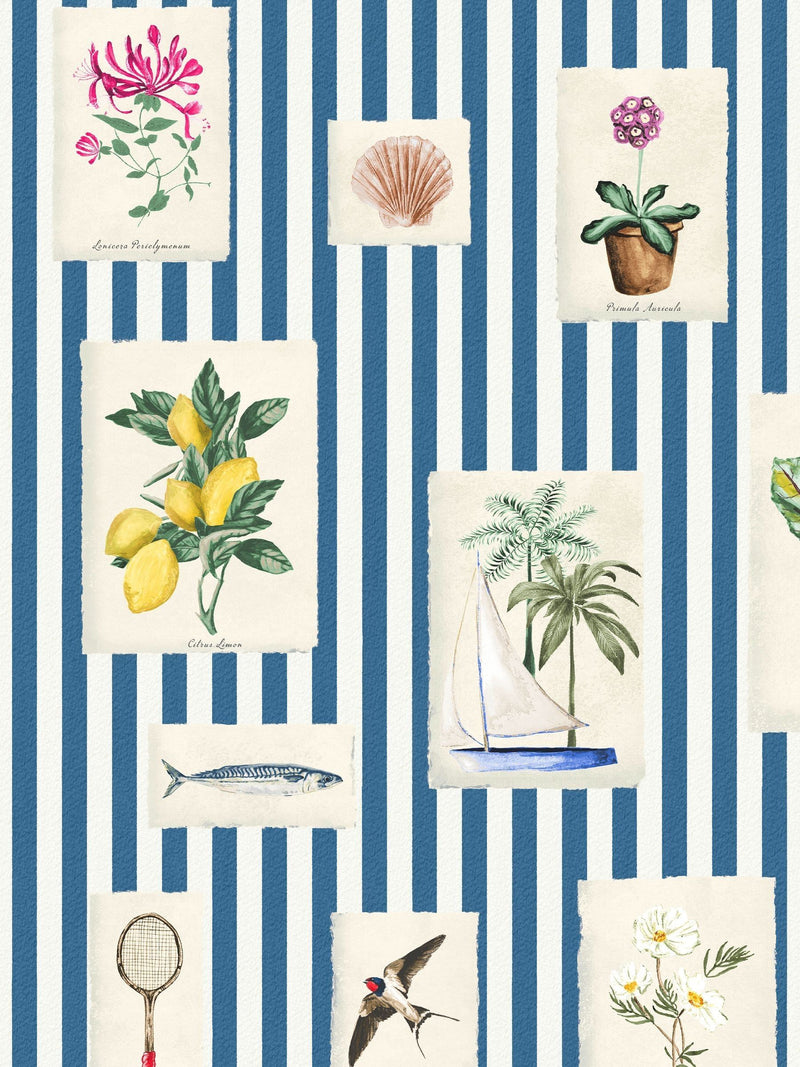 Joules wallpaper sample blue stripe A4, imported from the UK