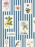Joules wallpaper sample blue stripe A4, imported from the UK