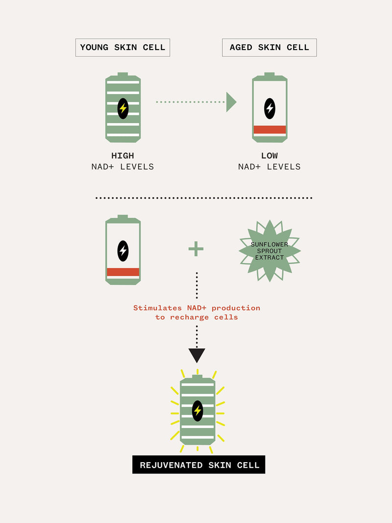 Pai Skincare NAD+ Serum (British brand)