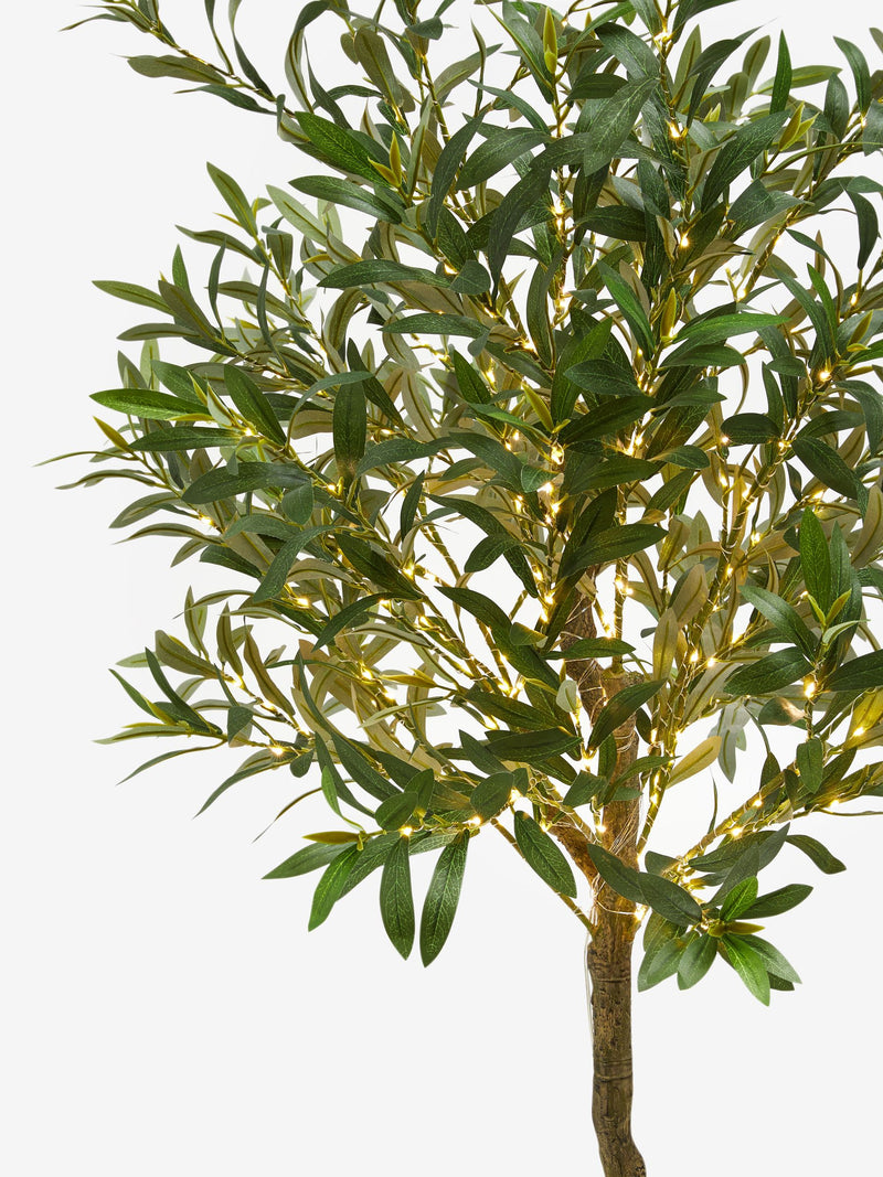 Green Artificial Light Up Olive Tree