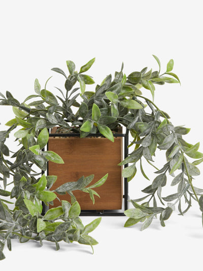 Next Green Artificial Bronx Trailing Plant- Buy online at McGrocer