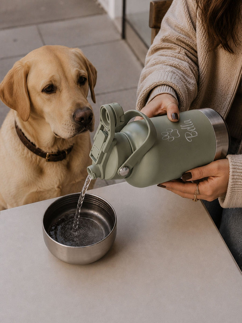Loveabode dog travel bottle 3-in-1 32oz, imported from the UK
