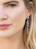 Ivory & Co silver plated willow trailing vine earrings, UK version