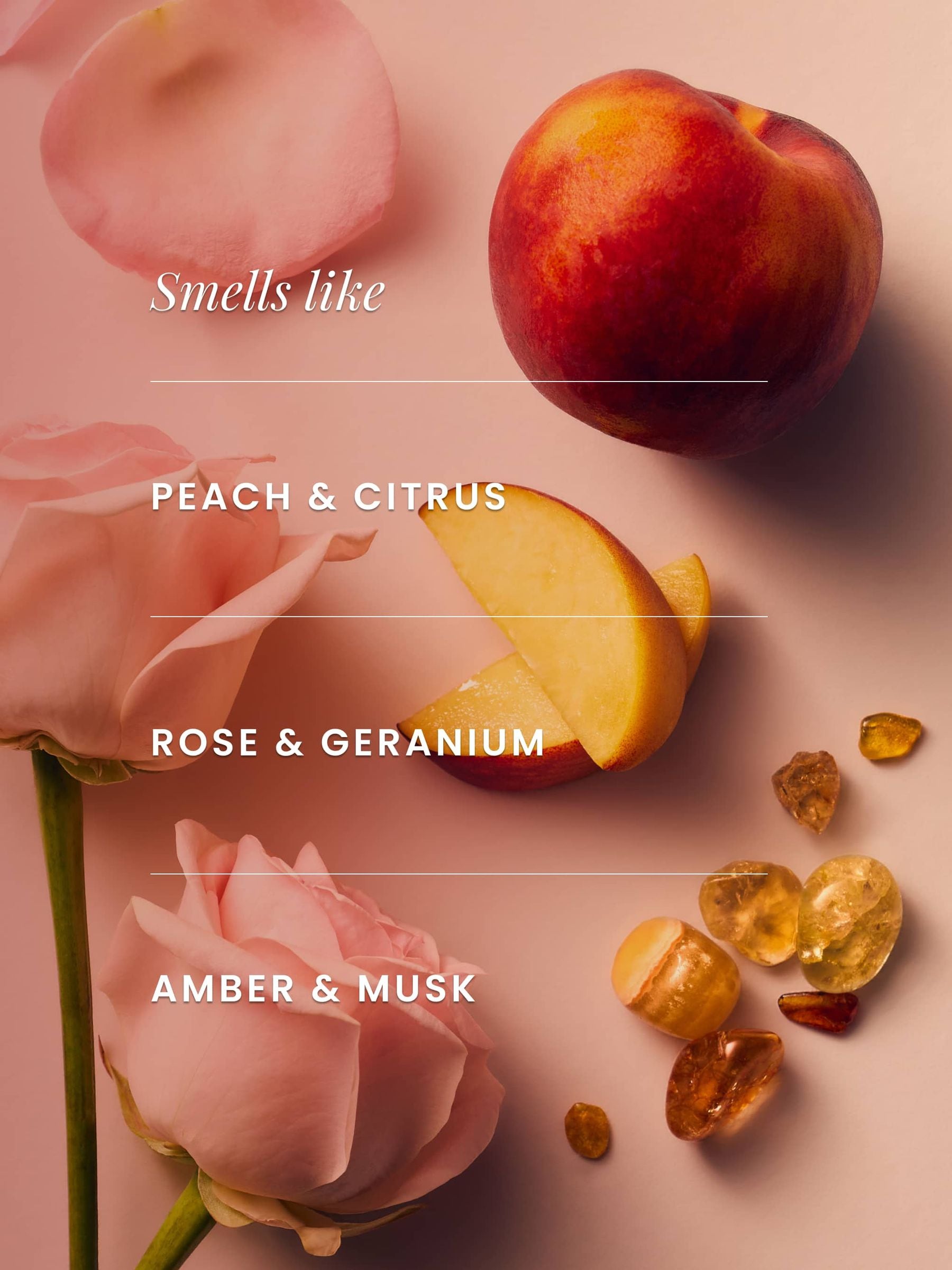 Rosa floral eau de parfum 100ml, imported from the UK