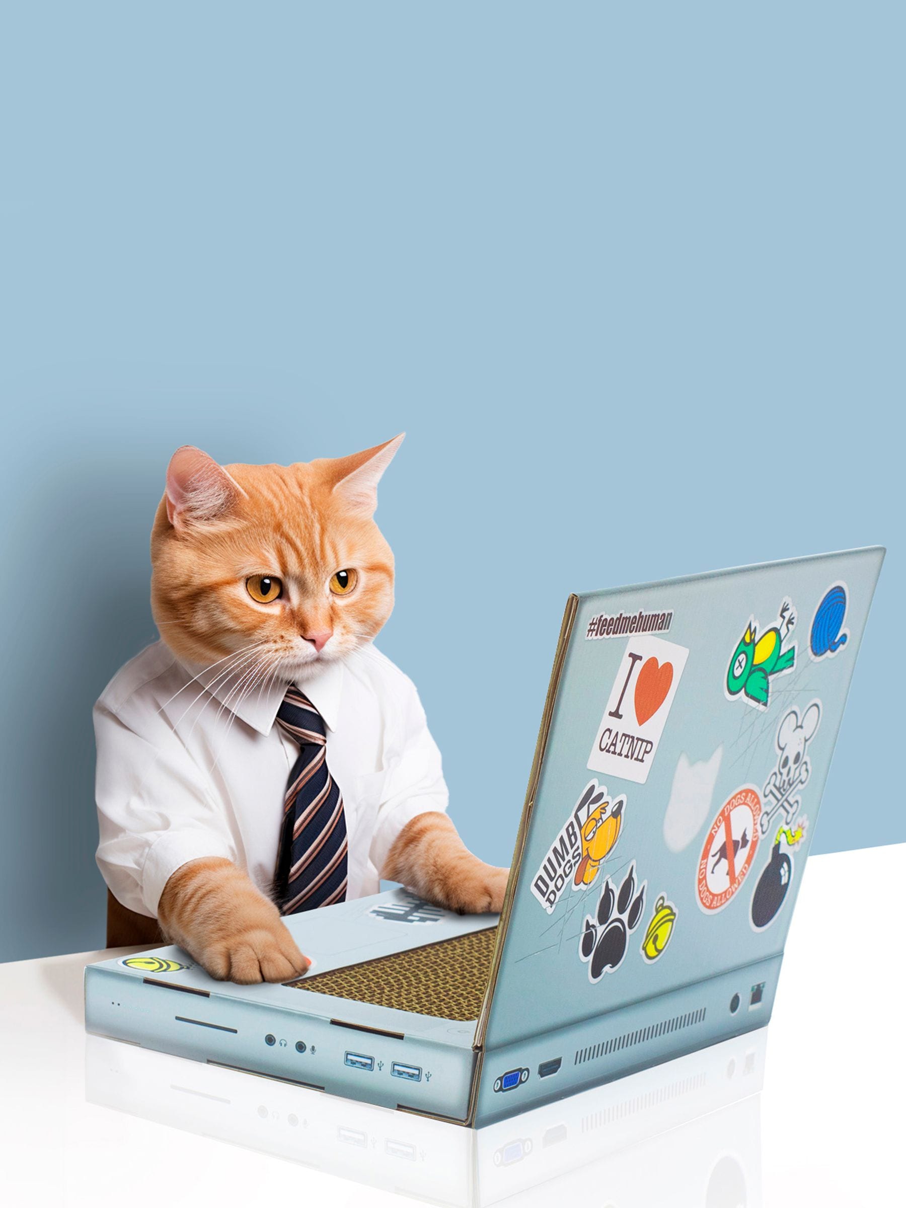 Suck UK grey cat scratch laptop toy with mouse, UK version