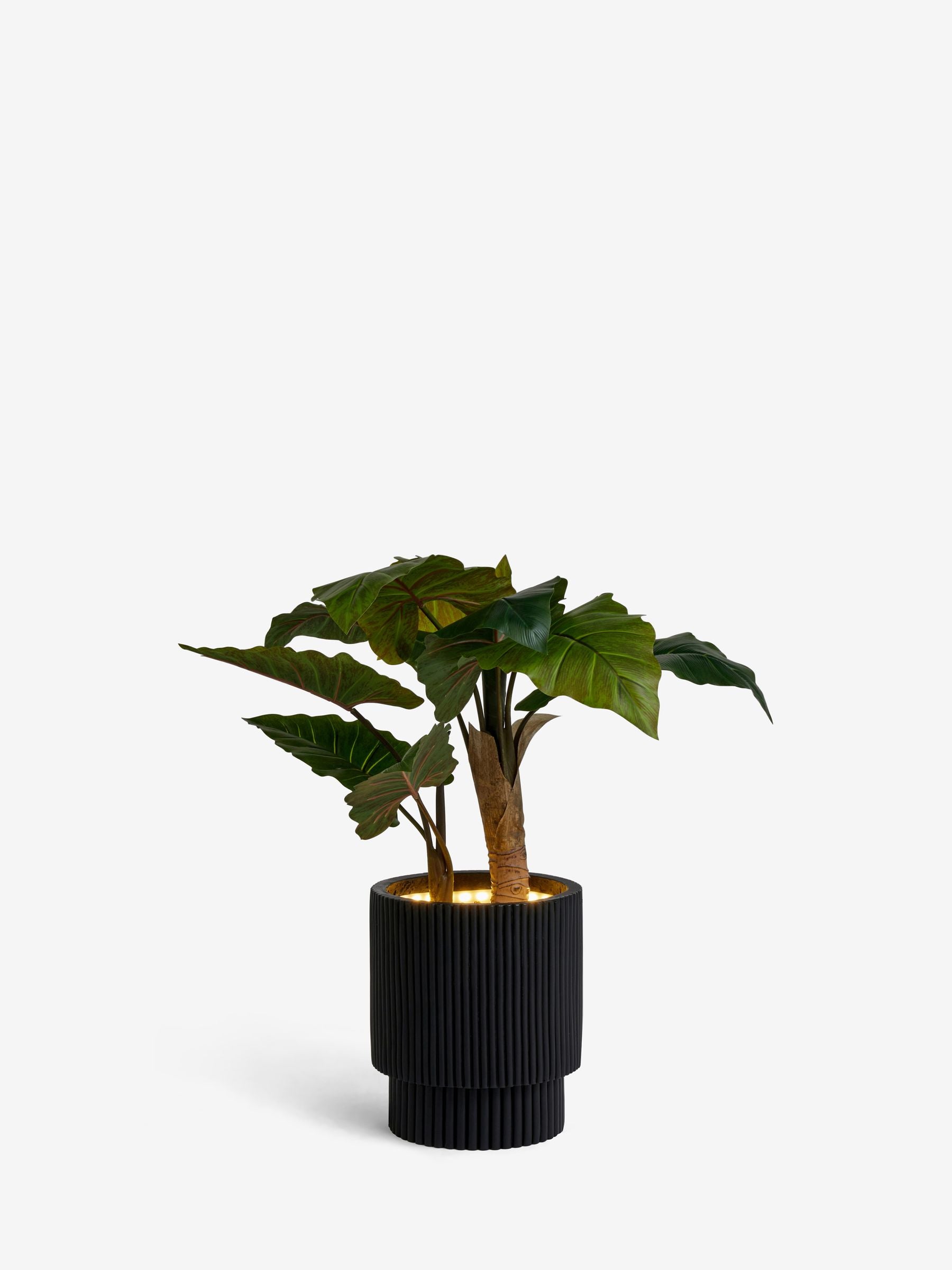 Green Artificial Light Up Alocasia Large Plant