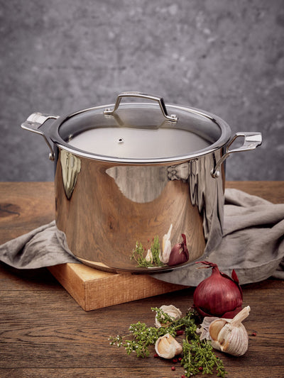 Next Stellar 26cm Stockpot 8L- Buy online at McGrocer