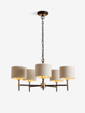 Black Hudson 5-light chandelier with brass accents, imported from the UK