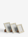 White Spring Daisy photo frame (British brand)