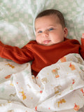aden + anais muslin blankets Elephant Circus 4 pack, UK version