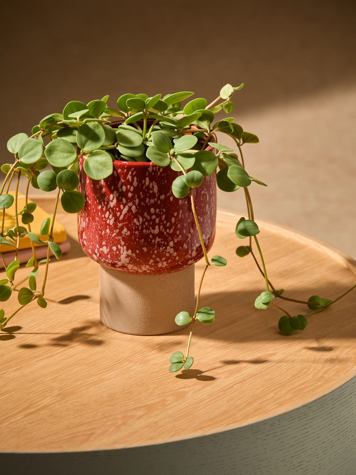 MADE.COM Terracotta and White Santiago Hand Splatter Small plant pot, imported from the UK