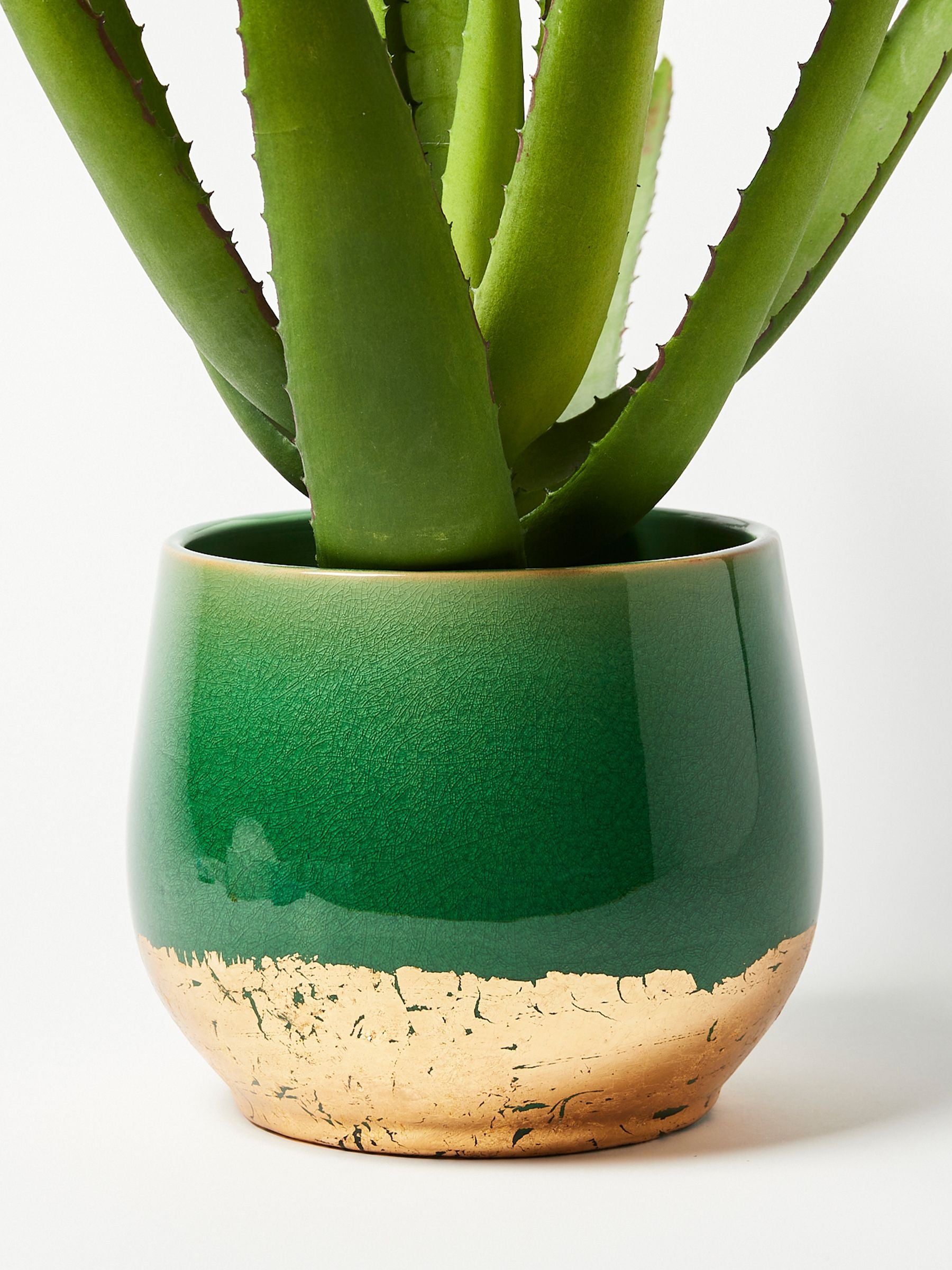 Oliver Bonas Green/Gold Palmer Foil Plant Large Pot