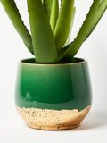 Oliver Bonas Green/Gold Palmer Foil Plant Large Pot