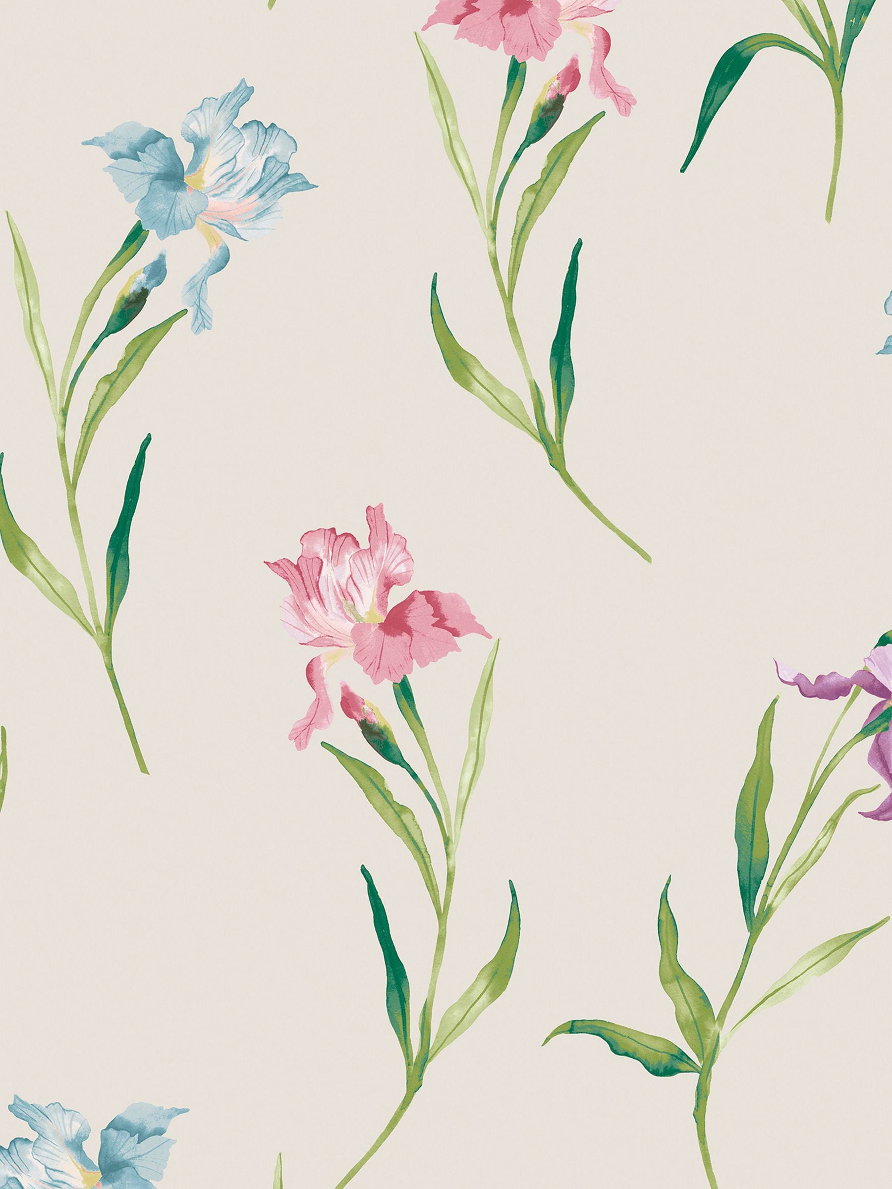 Laura Ashley Hawling Irises wallpaper sample A4, UK version