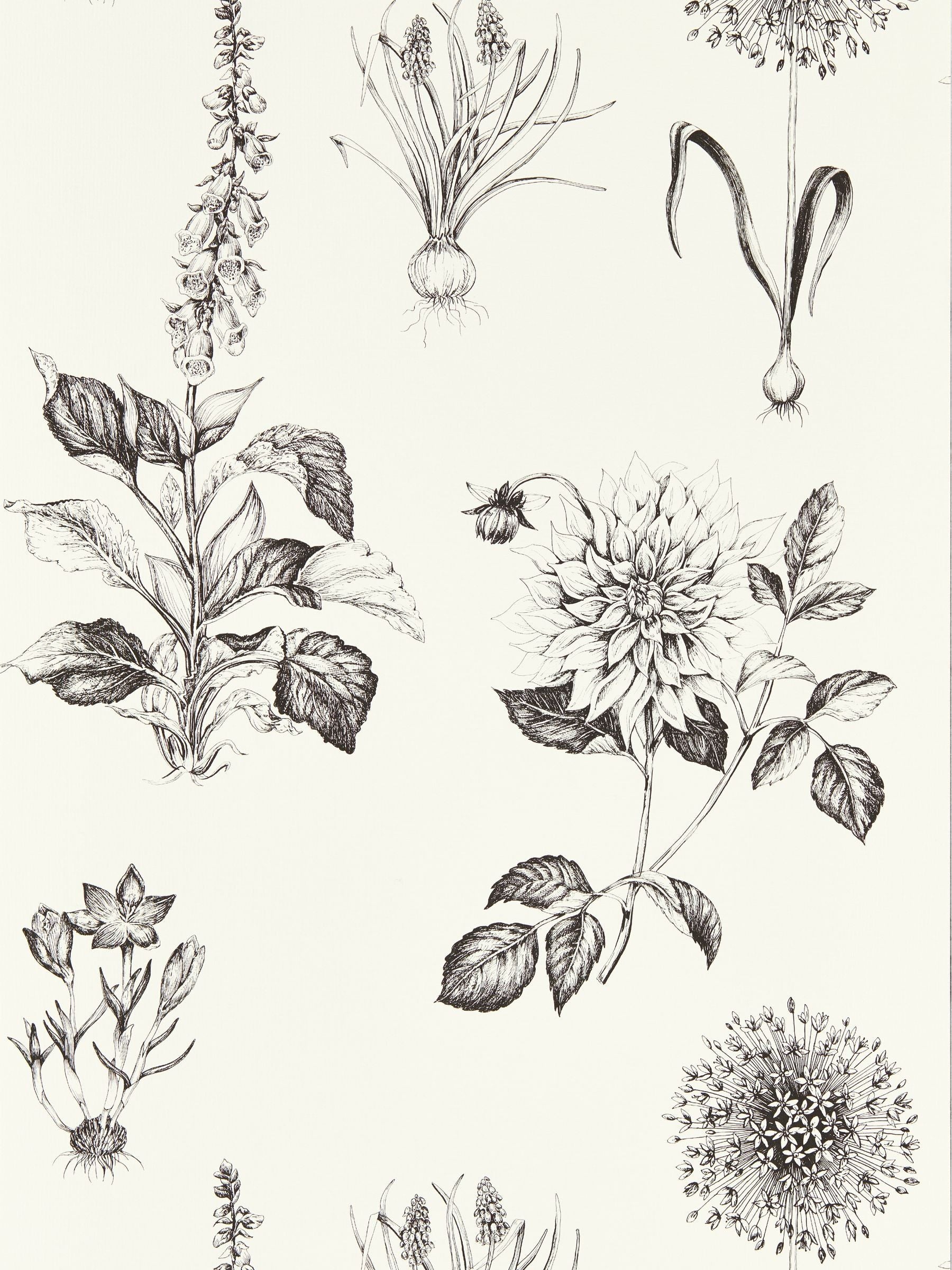 Clarke and Clarke Charcoal Roseraie wallpaper 10.05m, UK version
