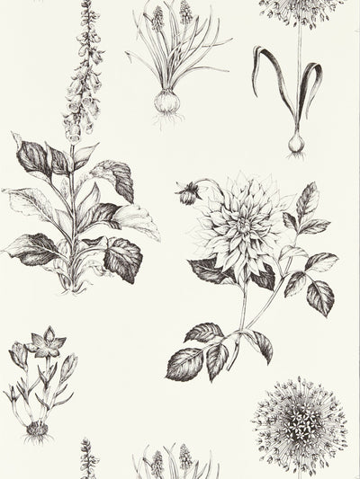 Next Clarke and Clarke Charcoal Roseraie Wallpaper 10.05m- Buy online at McGrocer
