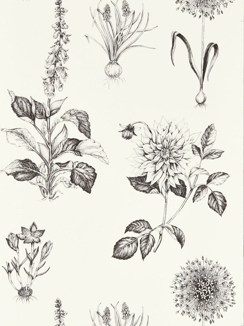Clarke and Clarke Charcoal Roseraie wallpaper 10.05m, UK version