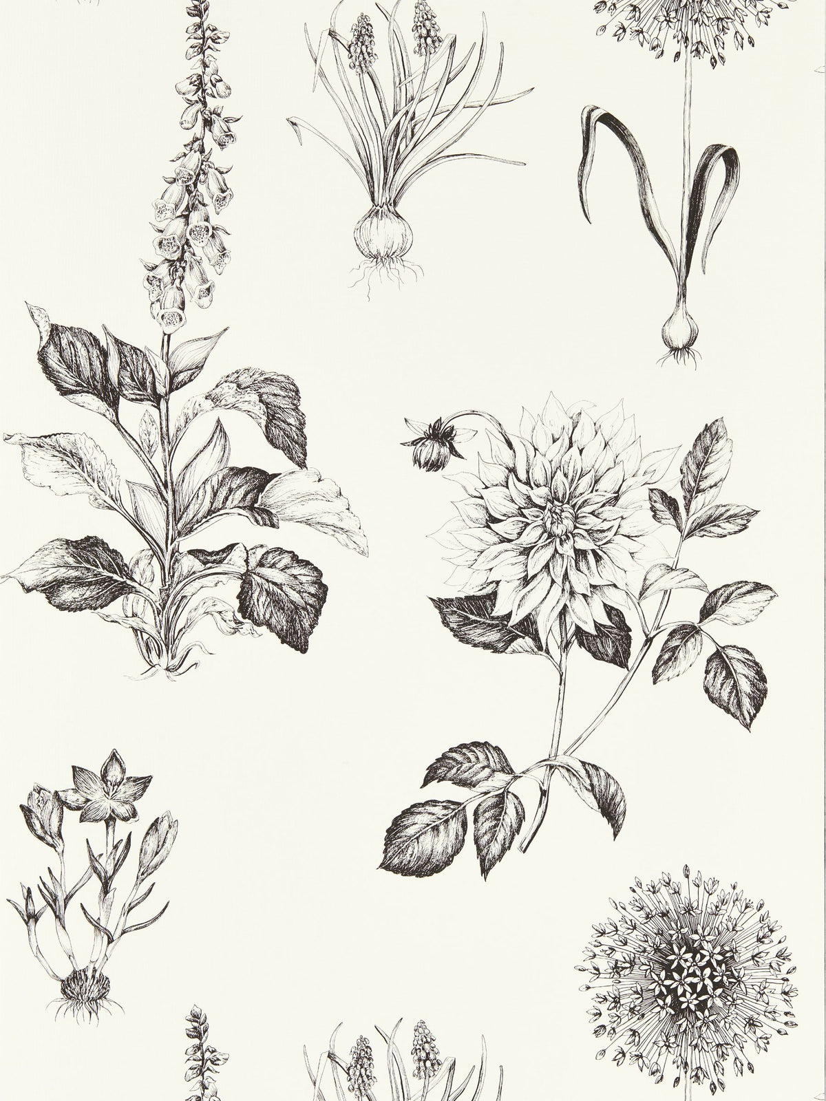 Clarke and Clarke Charcoal Roseraie wallpaper 10.05m, UK version