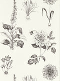 Clarke and Clarke Charcoal Roseraie wallpaper 10.05m, UK version