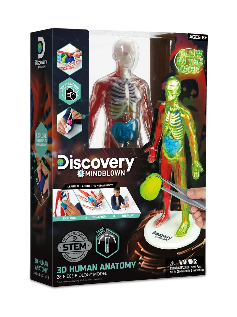 Discovery 3D Human Anatomy Model 28 Piece, imported from the UK