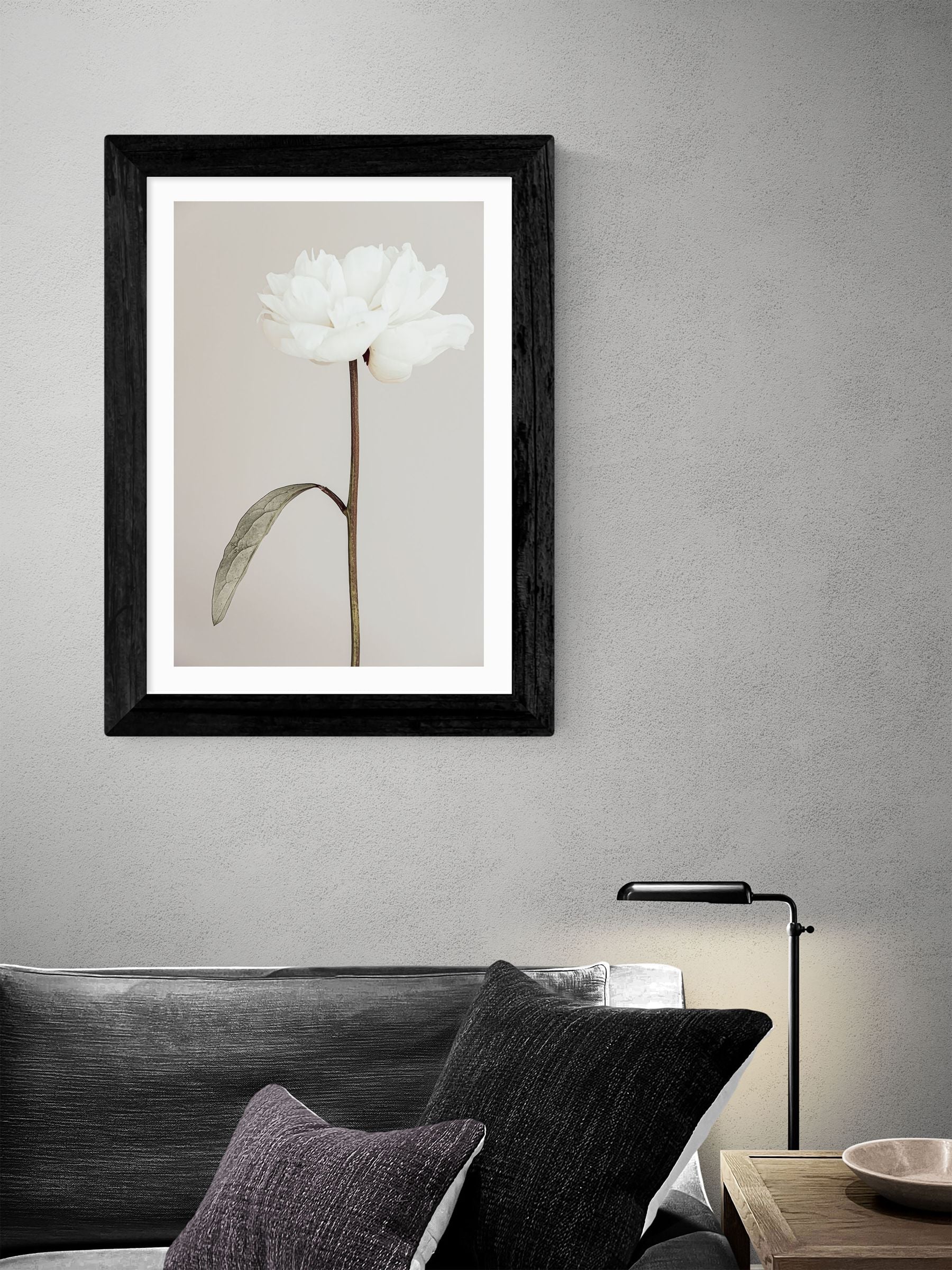 East End Prints Black Peony II Framed Art Print