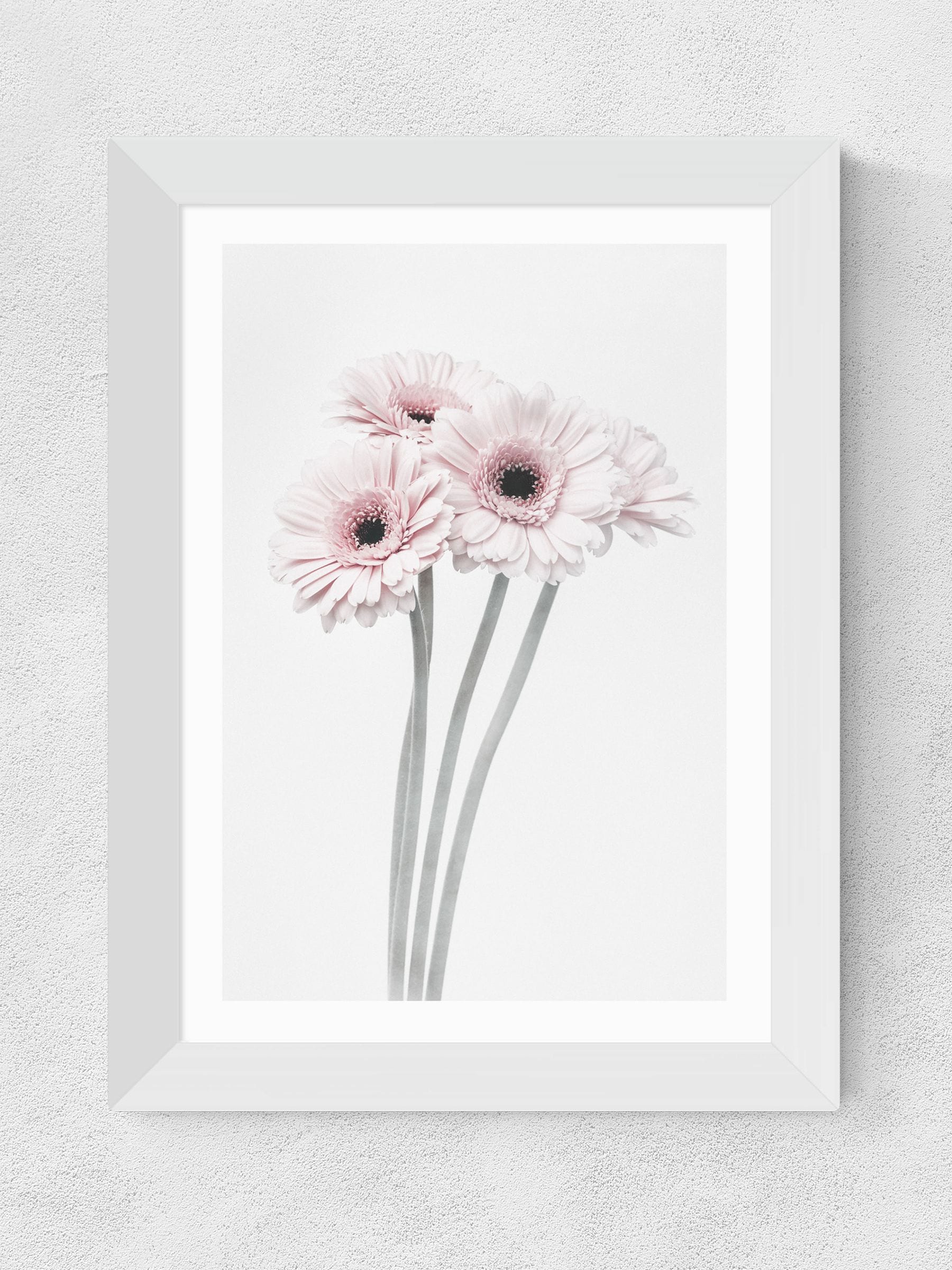 East End Prints White Gerbera Daisy Framed Art Print
