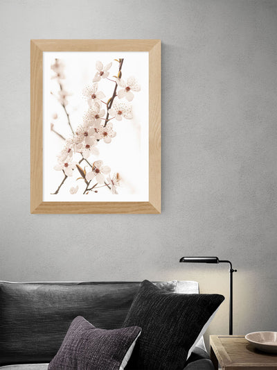 Next East End Prints Oak Blossom II Framed Art Print- Buy online at McGrocer