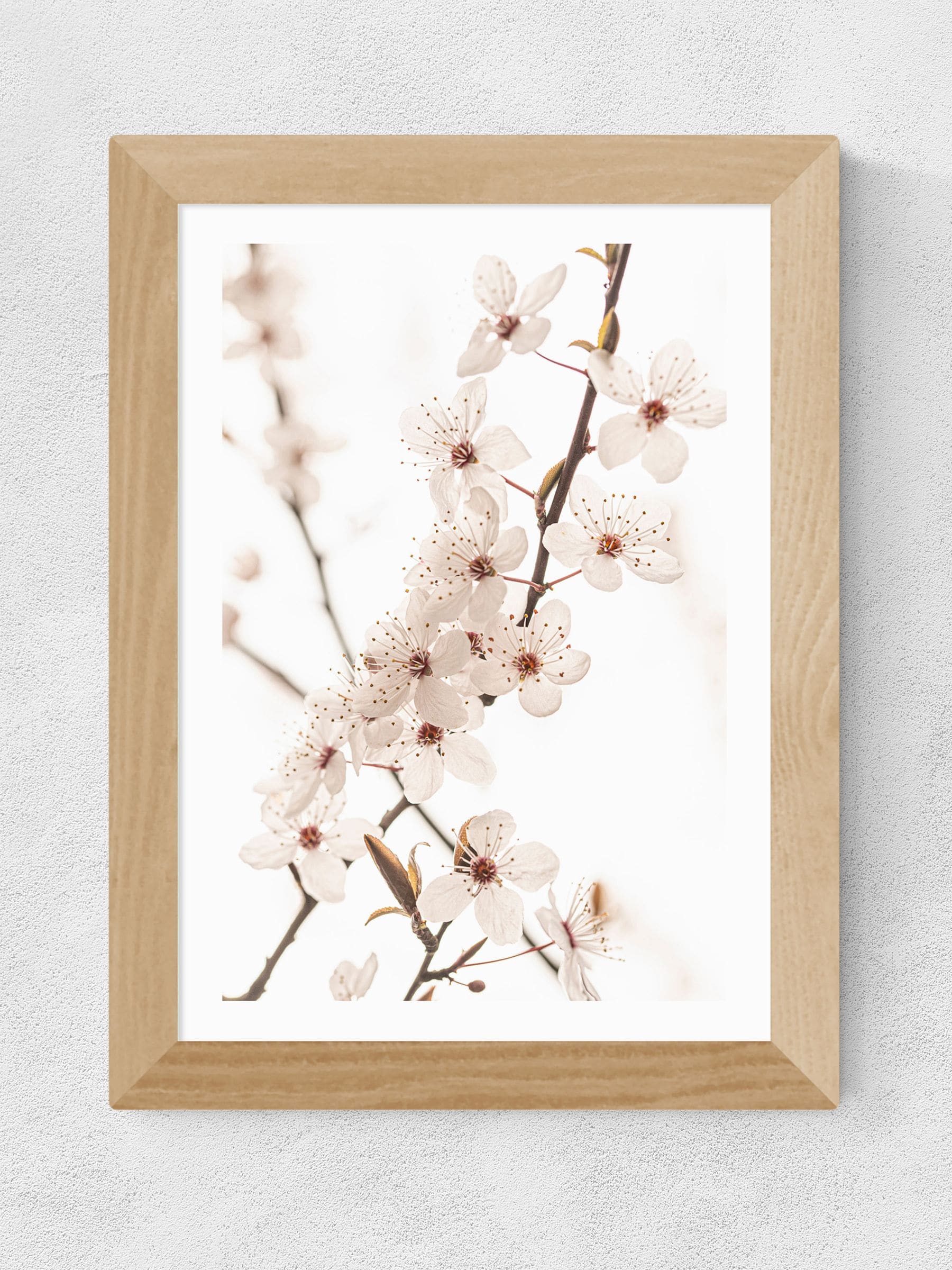 East End Prints Oak Blossom II framed art print - British product