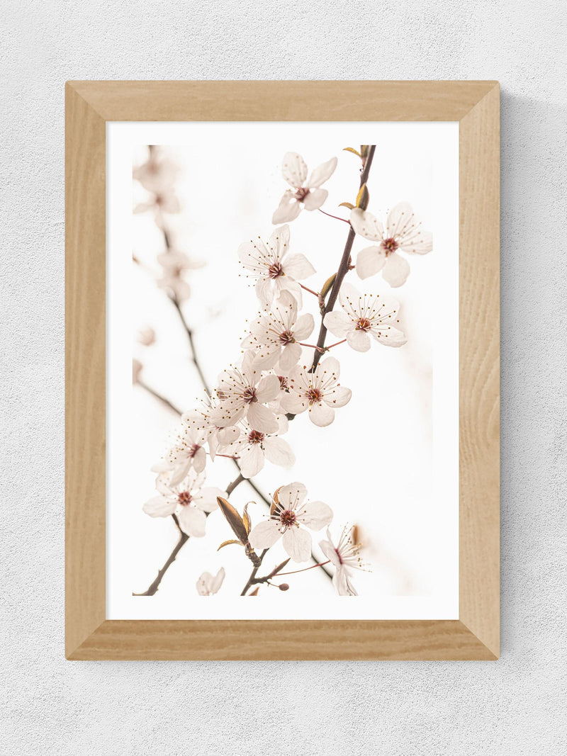 East End Prints Oak Blossom II framed art print - British product