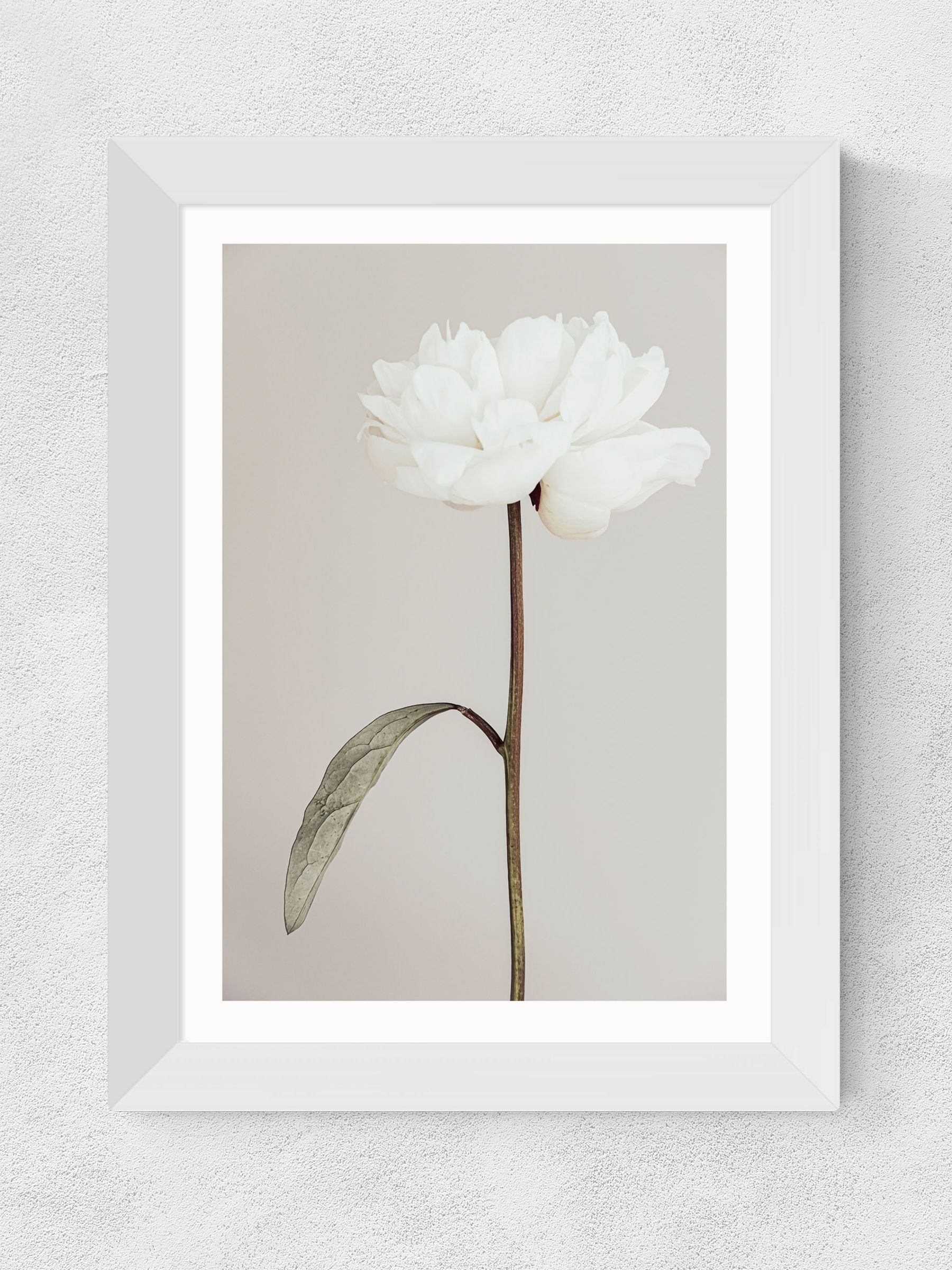 East End Prints White Peony II Framed Art Print