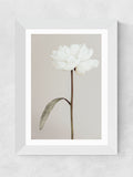 East End Prints White Peony II Framed Art Print