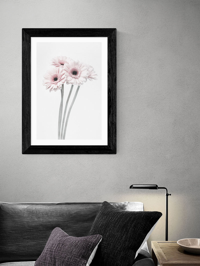 East End Prints Black Gerbera Daisy framed art print - British product