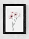 East End Prints Black Gerbera Daisy framed art print - British product