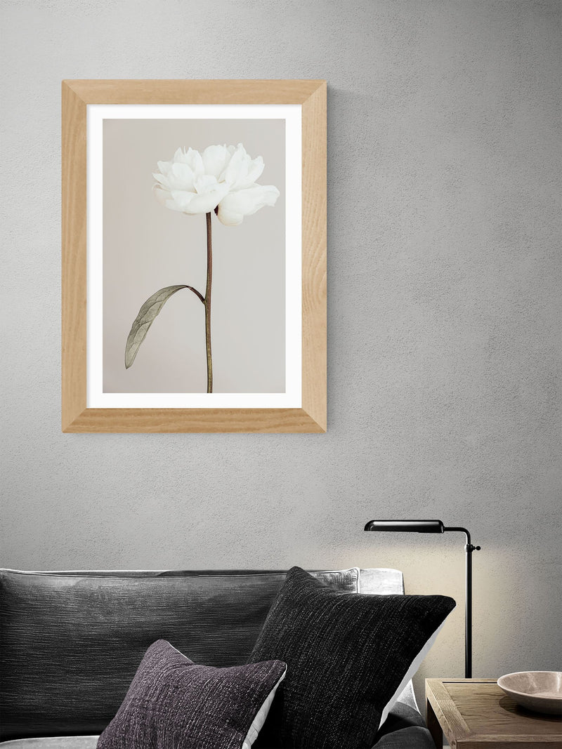 East End Prints Oak Peony II framed art print, UK version