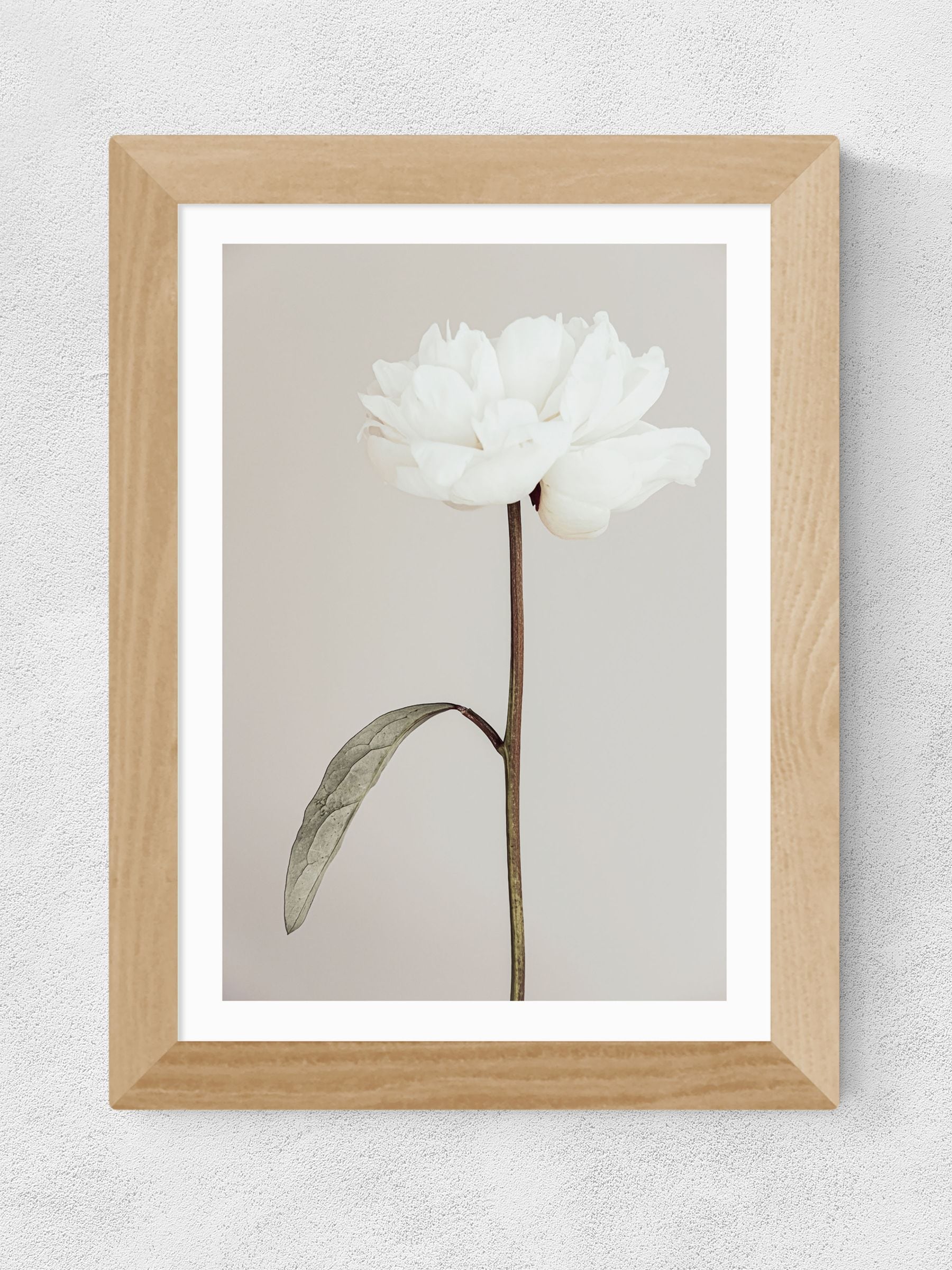 East End Prints Oak Peony II framed art print, UK version