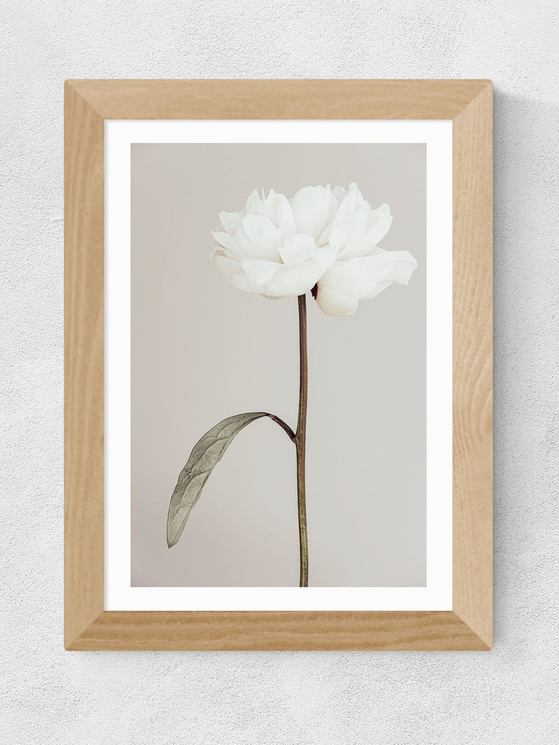East End Prints Oak Peony II framed art print, UK version
