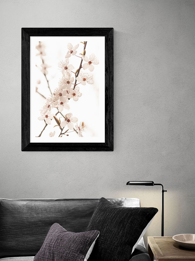 East End Prints Black Blossom II framed art print of white cherry blossoms (British brand)