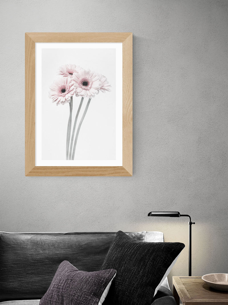 East End Prints Gerbera daisy framed art print - British product