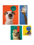 Hallmark funny animal designs gift bag set of 4, UK version