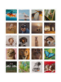 Hallmark multi cute animal design blank cards 20 pack, UK version