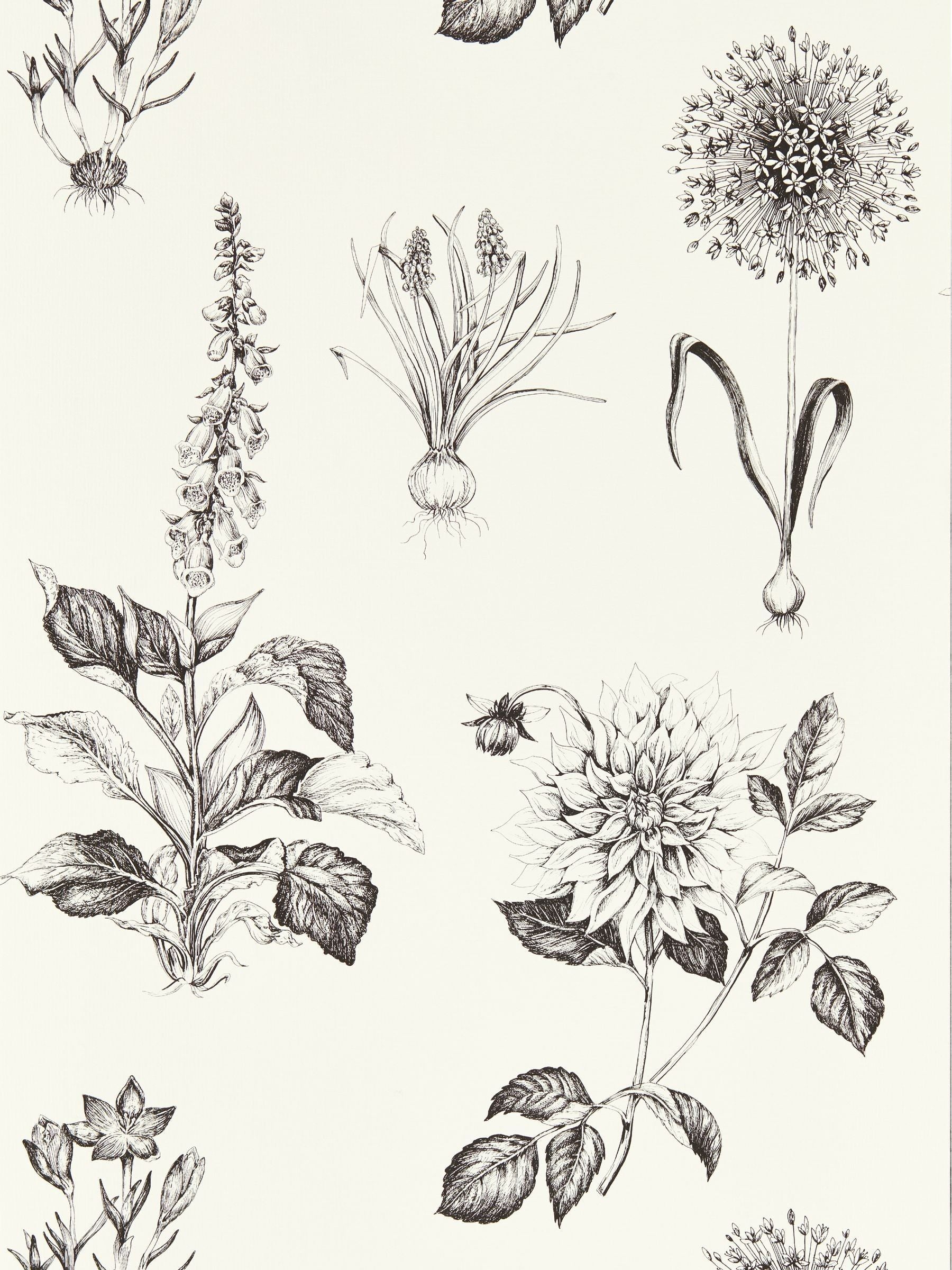 Clarke and Clarke Roseraie charcoal wallpaper sample, UK version