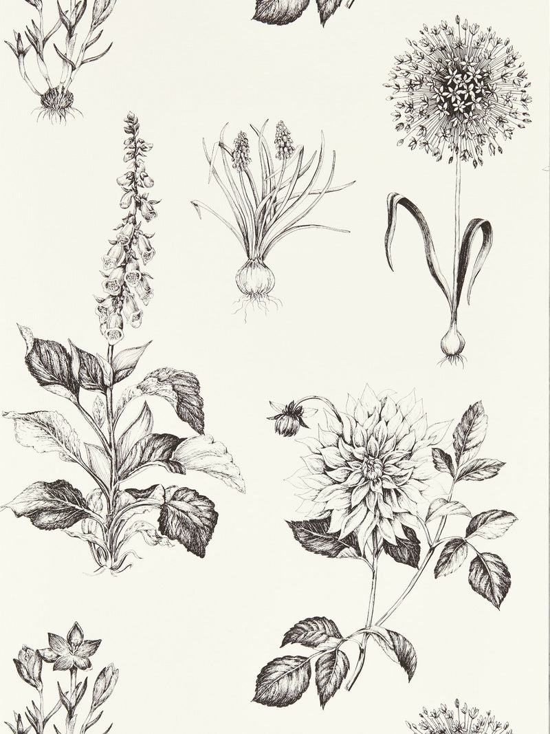 Clarke and Clarke Roseraie charcoal wallpaper sample, UK version