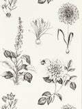 Clarke and Clarke Roseraie charcoal wallpaper sample, UK version