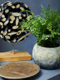 Interiors by Premier Seraya succulent ornament black and natural 35cm, UK version