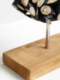 Interiors by Premier Seraya succulent ornament black and natural 35cm, UK version