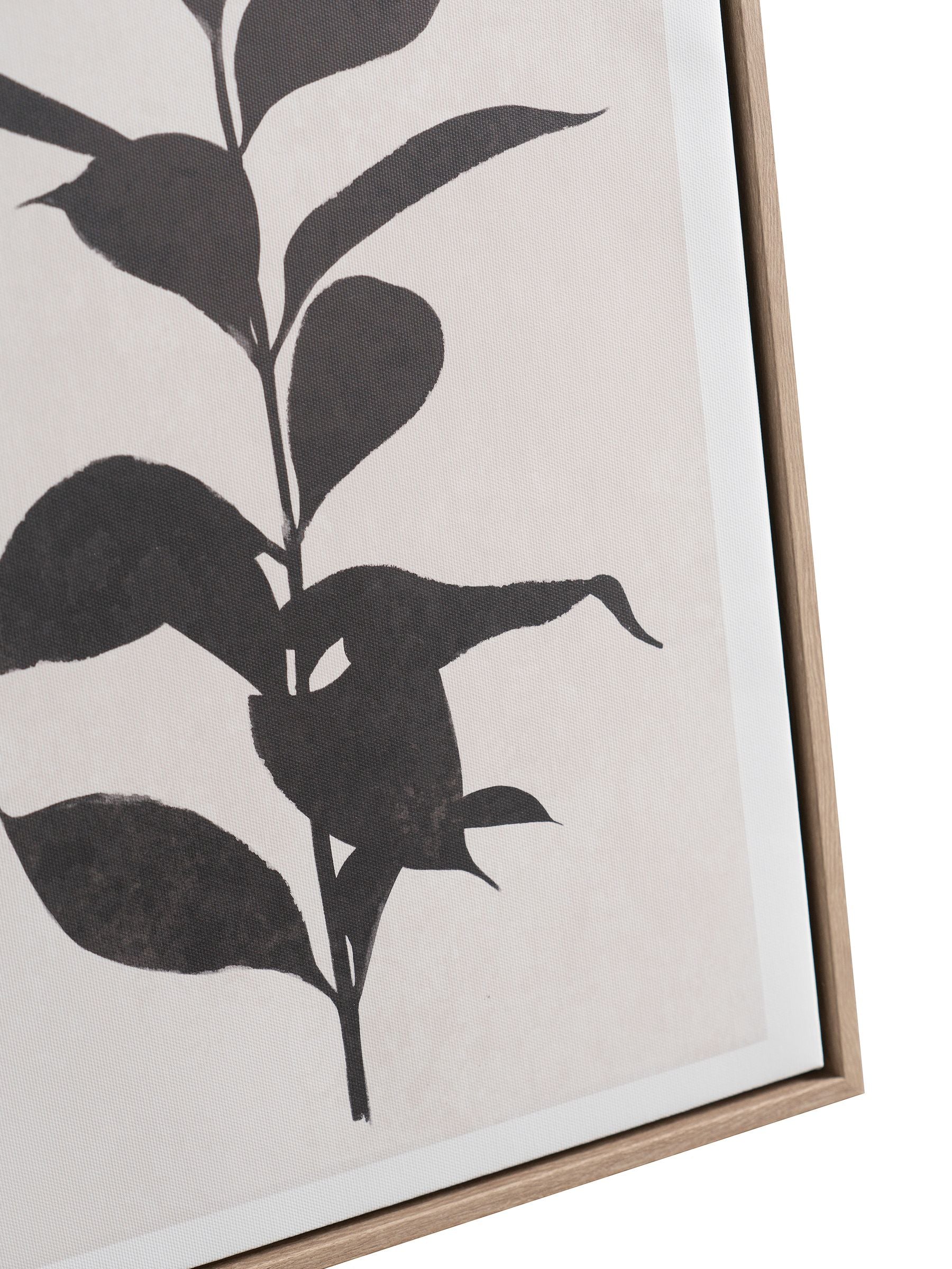 Pacific Natural leaf print framed canvas set, 50x35x4cm, imported from the UK