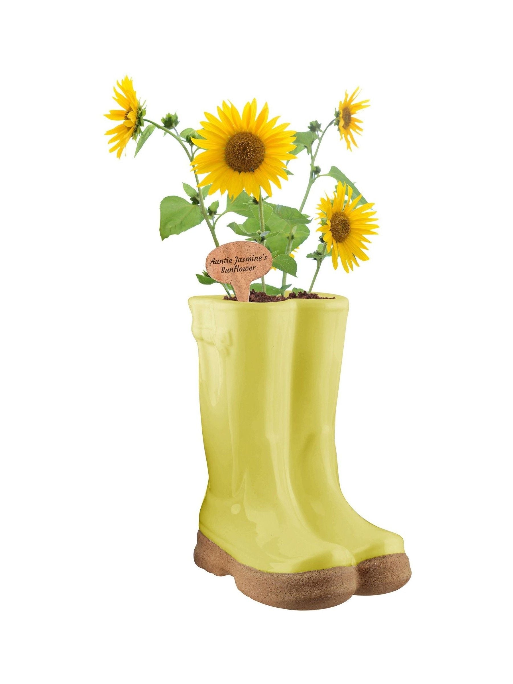 Dibor large yellow welly boot planter, imported from the UK