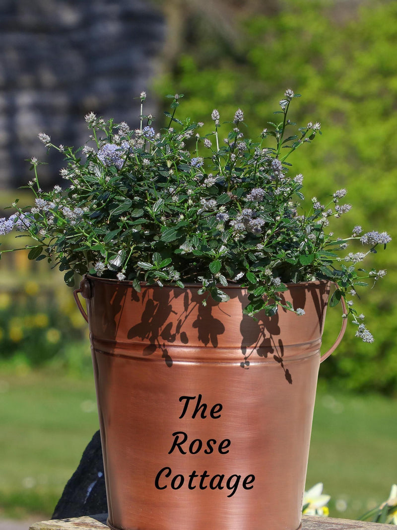 Dibor copper bucket garden planter 31cm, imported from the UK