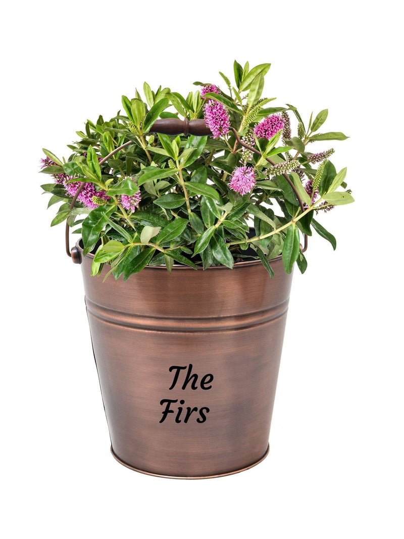 Dibor copper bucket garden planter 31cm, imported from the UK