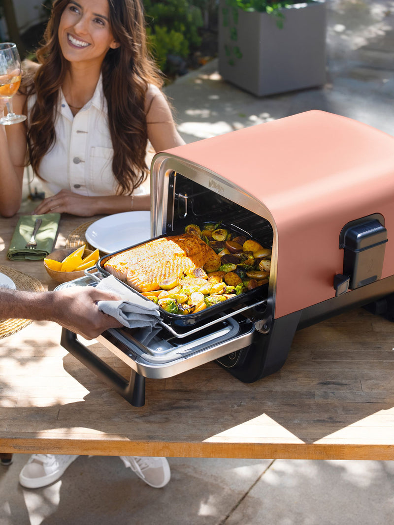 Ninja Woodfire outdoor pizza oven and smoker (British brand)